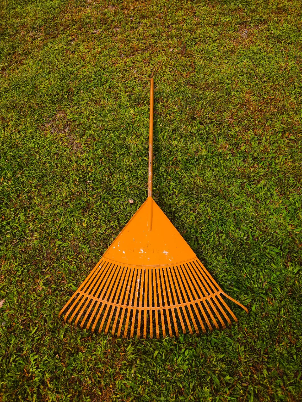 Yard cleanup
