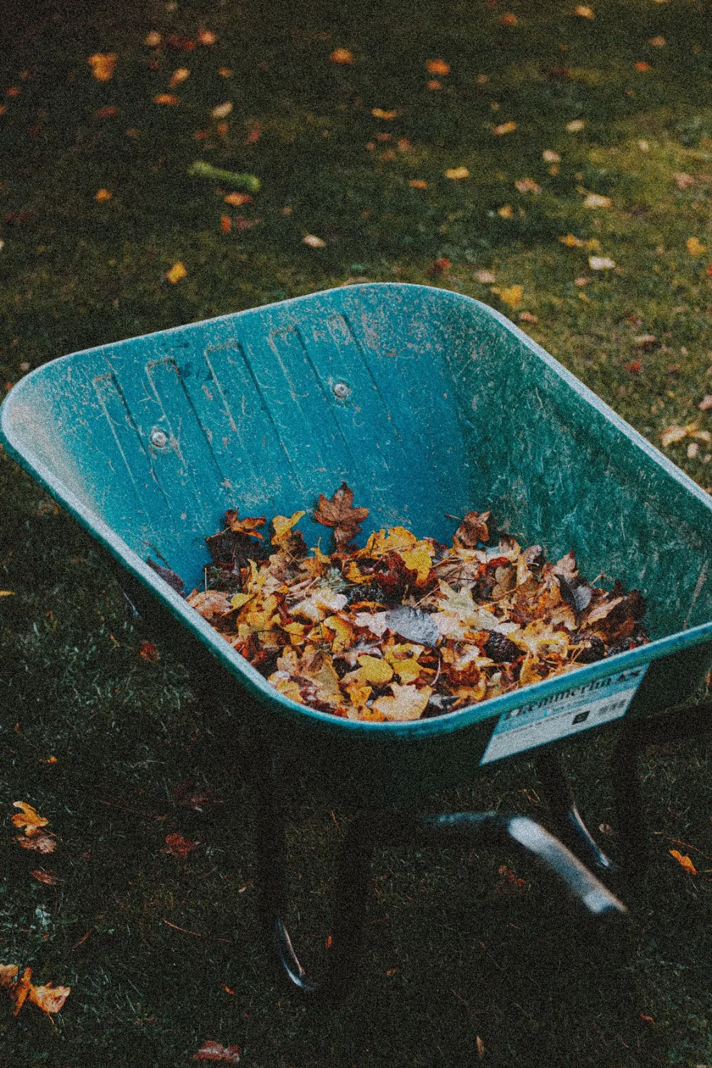 Leaf removal